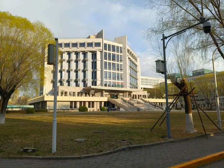 校园建筑与春日树影